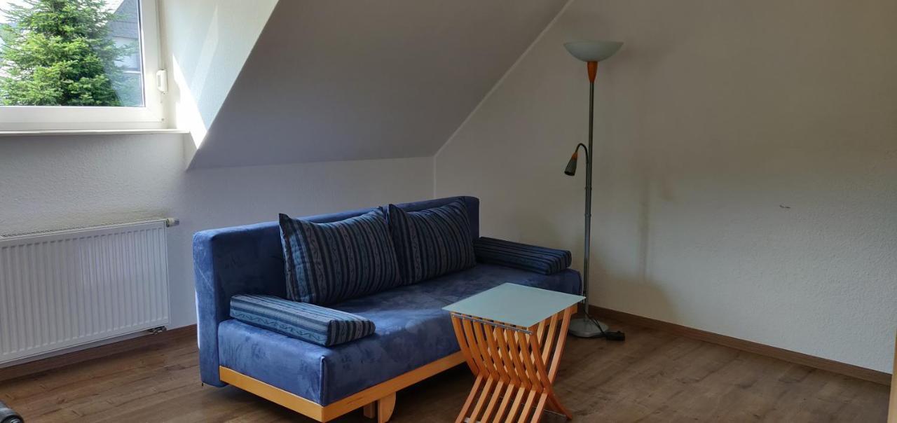 Ferienhaus Schulte - Villa Jupp Und Apartment Liesl オルスベルク エクステリア 写真